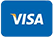 VISA Logo