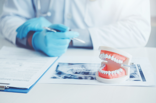 Model teeth on a desk at a dentist office