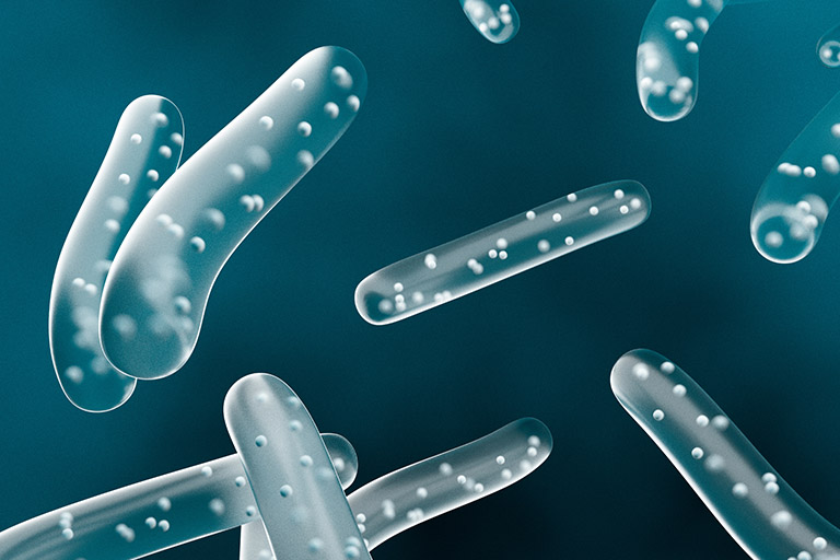 A microscopic image of skin bacteria 